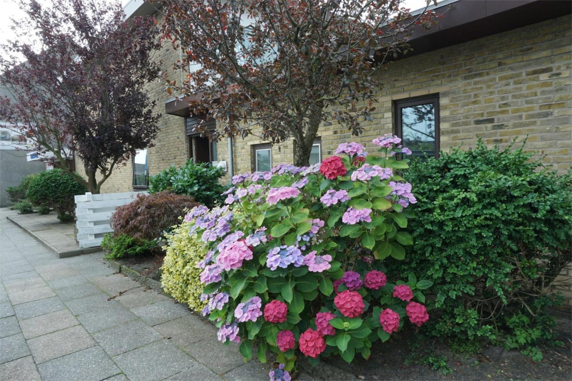 Bb-Hotel Frederikshavn Turisthotellet מראה חיצוני תמונה